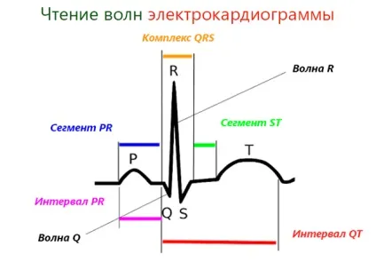 Гіперкаліємія як знизити концентрацію калію в крові (концентрацію) Гіперкаліємія як знизити концентрацію калію в крові