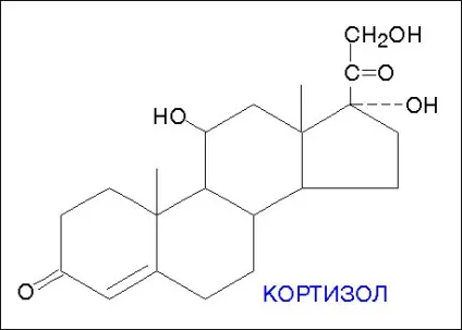 Гормони, фітнес для розумних людей (розумних) Гормони, фітнес для розумних людей