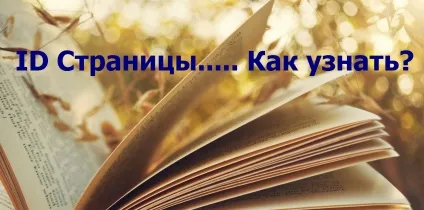 Як дізнатися id сторінки wordpress, рубрики і будь-якого запису (wordpress) Як дізнатися id сторінки wordpress, рубрики і будь-якого запису