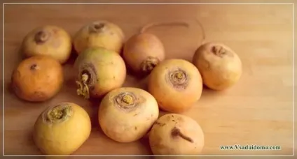 Яка на вигляд і смак ріпа (рослини) Яка на вигляд і смак ріпа