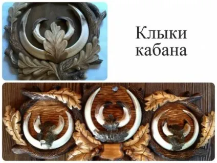 Як добути і оформити мисливський трофей за всіма правилами і відео про те, як трофеї оцінюють