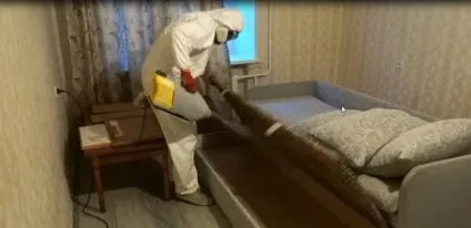 Як позбутися від бліх у квартирі як вивести бліх самостійно (бліх) Як позбутися від бліх у квартирі як вивести бліх самостійно