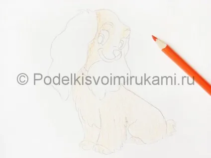 Як намалювати собаку олівцями поетапно (собаку) Як намалювати собаку олівцями поетапно