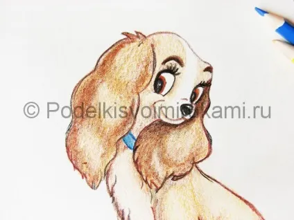 Як намалювати собаку олівцями поетапно (олівцями) Як намалювати собаку олівцями поетапно