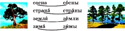Як позначити буквою безударнийголосний звук