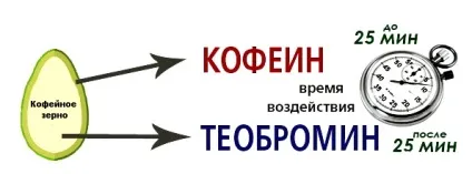 Який кави вибрати каву і спорт чи варто пити каву перед тренуванням фітнесоманія для кожного! (Спорт) Який кави вибрати каву і спорт чи варто пити каву перед тренуванням фітнесоманія для кожного!