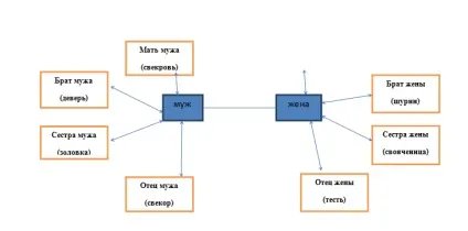 Як визначити ступінь споріднення (визначити) Як визначити ступінь спорідненості