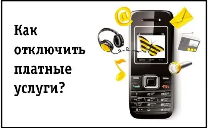 Як відключити послуги від билайн (частина 1), все про Білайні (билайн) Як відключити послуги від билайн (частина 1), все про Білайні