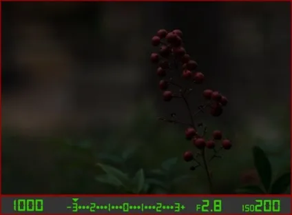 Як навчитися фотографувати в ручному режимі (ручному) Як навчитися фотографувати в ручному режимі