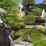 Як правильно удобрювати картопля (картопля) Як правильно удобрювати картопля