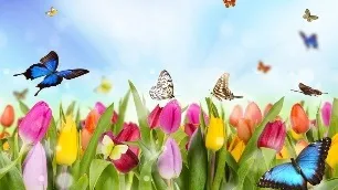 Як підготуватися до відпустки почніть відпочивати вже зараз