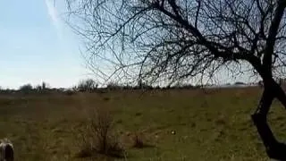 Як переїхати ПМП в крим (виїхати жити крим ПМП варто переїжджати) Як переїхати ПМП в крим