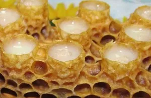 Як приймати маточне молочко, лікувальні властивості - королівського желе