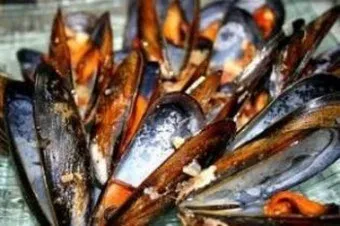 Як приготувати мідії до пива - 7 домашніх рецептів, жіночий сайт - рецепти, мода, здоров'я, (приготувати) Як приготувати мідії до пива - 7 домашніх рецептів, жіночий сайт - рецепти, мода, здоров'я,