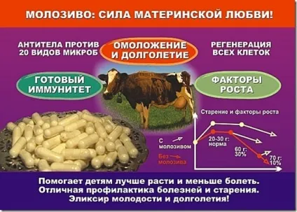 Як приготувати молозиво з коров'ячого молока (молока) Як приготувати молозиво з коров'ячого молока