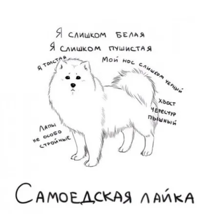 Як припинити лаяти себе, якщо ти - тупа вівця (вівця) Як припинити лаяти себе, якщо ти - тупа вівця