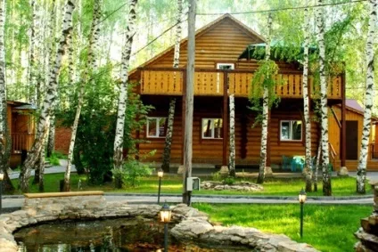 Як зробити на дачі ділянку лісу які рослини посадити (які) Як зробити на дачі ділянку лісу які рослини посадити