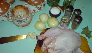 Як прибрати запах у курки