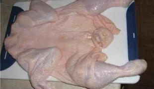 Як прибрати запах у курки