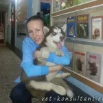 Як вилікувати собаку