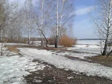 Як виглядає Ніколь Шерзінгер без макіяжу (Ніколь Шерзінгер без макіяжу) Як виглядає Ніколь Шерзінгер без макіяжу