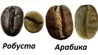 Як вибрати каву
