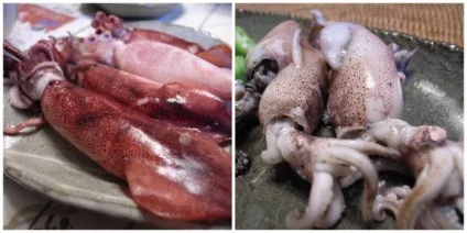 Як вибирати рибу і морепродукти