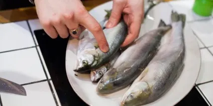 Як вибирати рибу і морепродукти