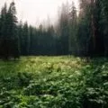 До чого сниться ресторан, сонник ресторан, кафе уві сні (сниться) До чого сниться ресторан, сонник ресторан, кафе уві сні