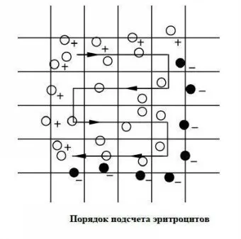 Камери для рахунку формених елементів крові і клітинних елементів