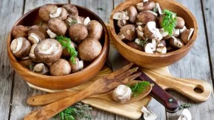 Як зберігати гриби, способи, рекомендації (зберігати) Як зберігати гриби, способи, рекомендації