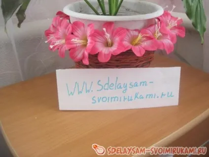 Кашпо з газетних трубочок, майстер-клас своїми руками (газетних) Кашпо з газетних трубочок, майстер-клас своїми руками