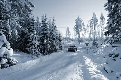 Як вибрати всесезонні автомобільні шини