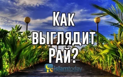 Як виглядає рай 1