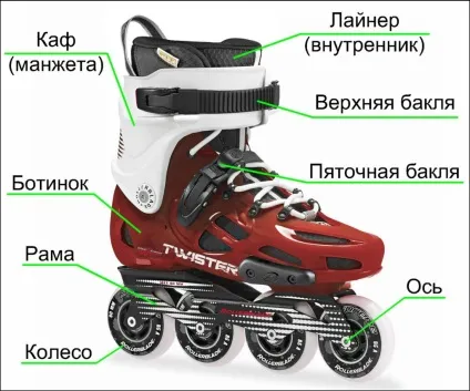 Як вибрати ролики новачкові, jolly-roller (вибрати) Як вибрати ролики новачкові, jolly-roller