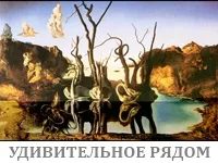Козеріг (22 грудня - 20 січня) - офіційний сайт газети «оракул» (знак зодіаку козеріг) Козеріг (22 грудня - 20 січня) - офіційний сайт газети «оракул»