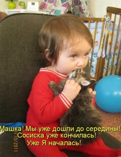 Котики-картинки - котоматрица! Все найцікавіше! (Котоматрица) Котики-картинки - котоматрица! Все найцікавіше!