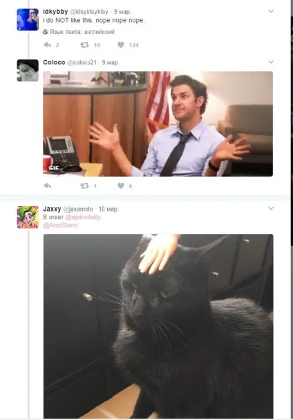 Кот з людськими руками підірвав твіттер (кота людськими руками) Кот з людськими руками підірвав твіттер