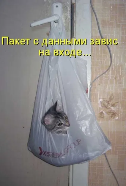 Котики-картинки - котоматрица! Все найцікавіше! (Котоматрица) Котики-картинки - котоматрица! Все найцікавіше!