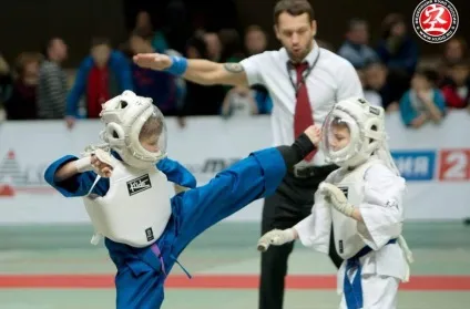 Кудо спорт для виховання сили і духу - здорові діти (спорт) Кудо спорт для виховання сили і духу - здорові діти