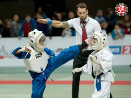 Кудо спорт для виховання сили і духу - здорові діти (спорт) Кудо спорт для виховання сили і духу - здорові діти