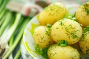 Лікувальне харчування при захворюваннях шлунково-кишкового тракту (шлунково-кишкового тракту) Лікувальне харчування при захворюваннях шлунково-кишкового тракту