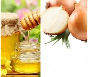 Лікування бронхіту цибулею і медом, лікування бронхіту (лікування) Лікування бронхіту цибулею і медом, лікування бронхіту