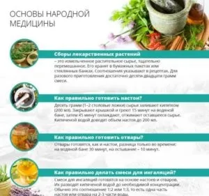 Лікування хронічного тонзиліту народними засобами (хронічного) Лікування хронічного тонзиліту народними засобами