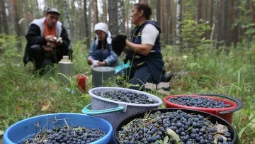 Літо - круглий рік