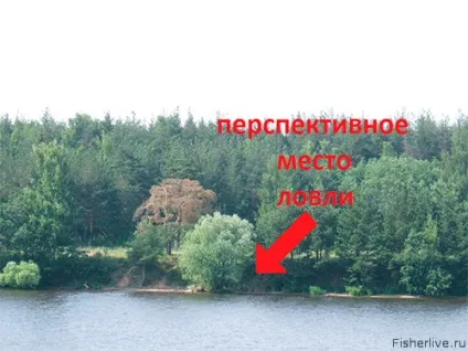 Ловля головня навесні, поради рибалкам (закид буде далекий) Ловля головня навесні, поради рибалкам
