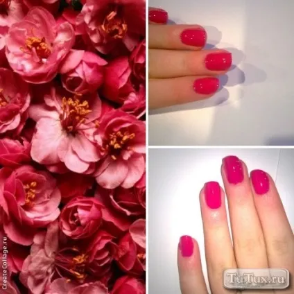 Лак для нігтів rimmel 60 seconds палітра (rimmel) Лак для нігтів rimmel 60 seconds палітра