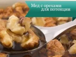 Мед і горіхи для чоловіків - рецепти для потенції і здоров'я (чоловіків) Мед і горіхи для чоловіків - рецепти для потенції і здоров'я