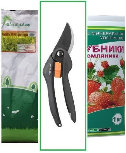 Магазин саджанців і садових рослин з доставкою по Москві і мо (рослин) Магазин саджанців і садових рослин з доставкою по Москві і мо