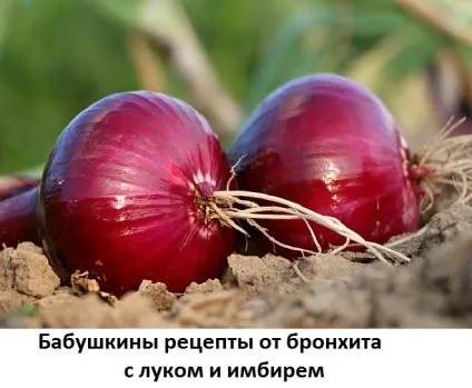 Лук і імбир при бронхіті, рецепти і як лікуватися, сайт про методи лікування докторів Неумивакіна, (лікування травами) Лук і імбир при бронхіті, рецепти і як лікуватися, сайт про методи лікування докторів Неумивакіна,